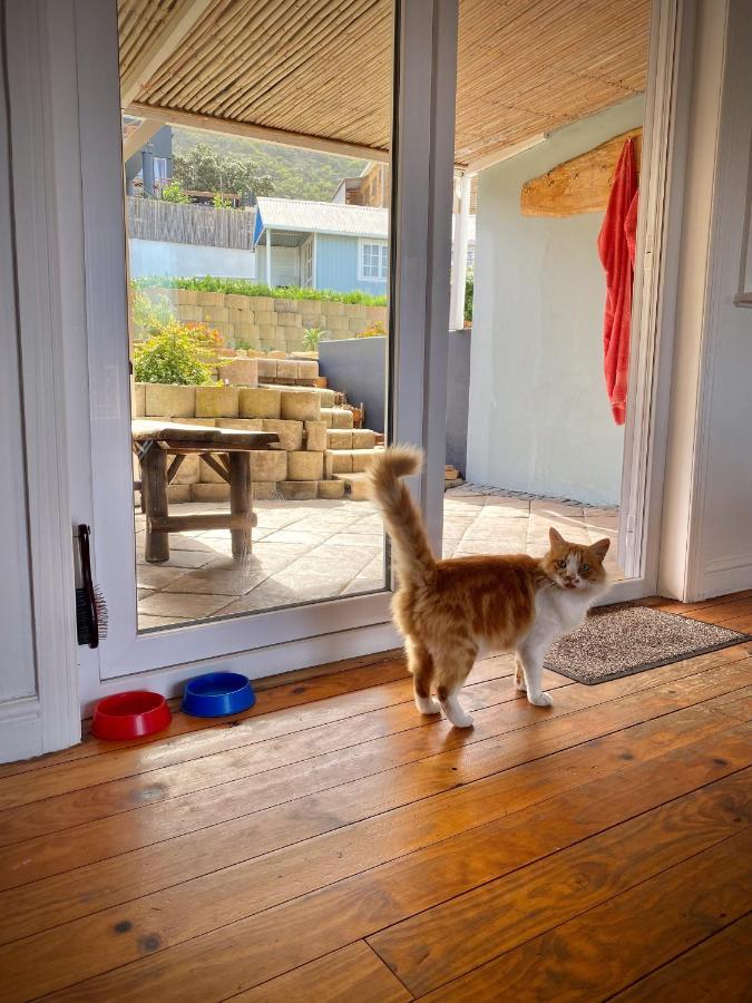 Villa Amanzi Hout Bay Exterior photo